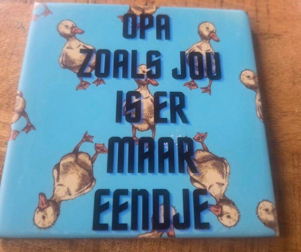 Tegeltje papa en opa eendje