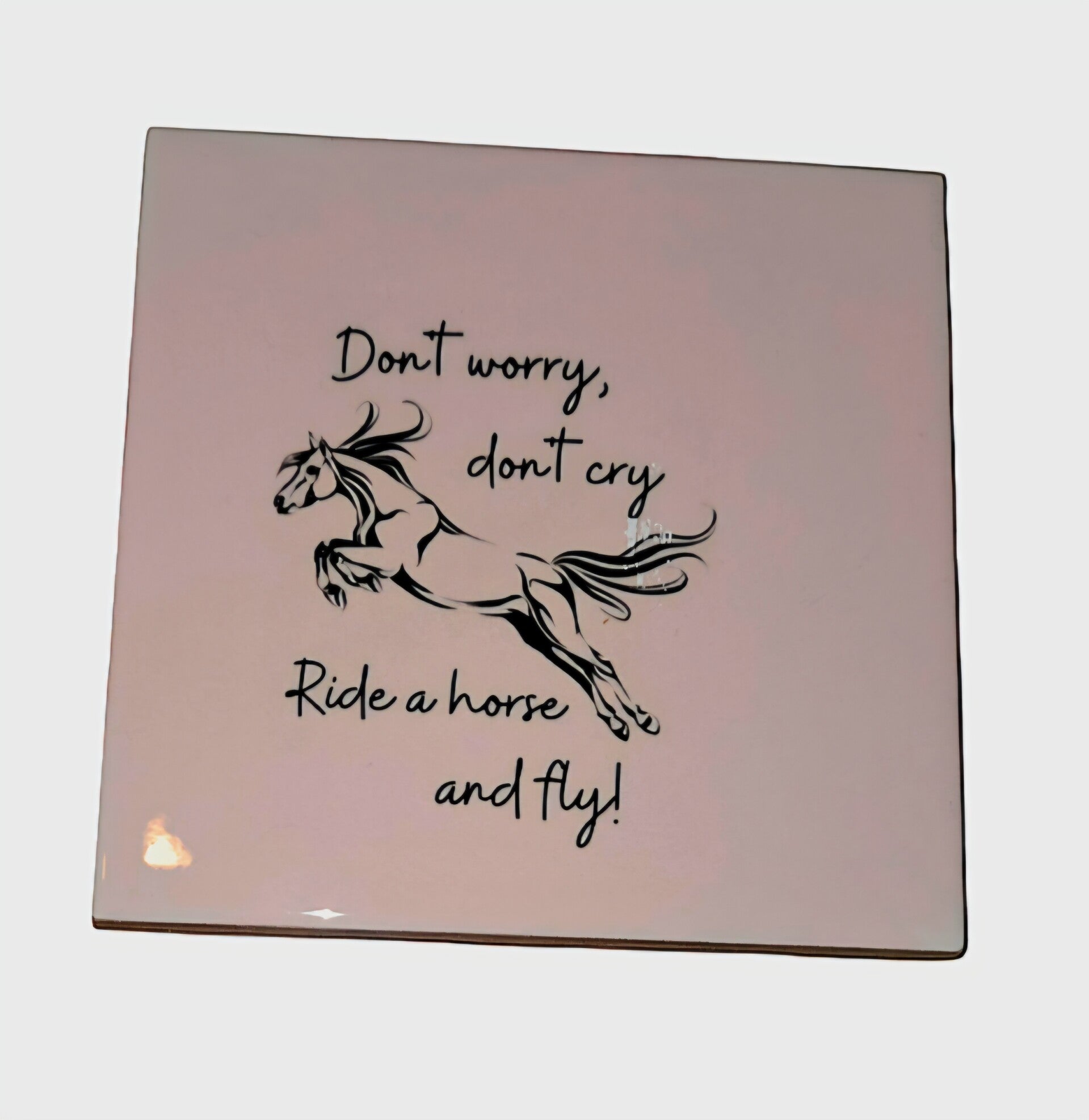 Tegeltje dont cry just fly paard