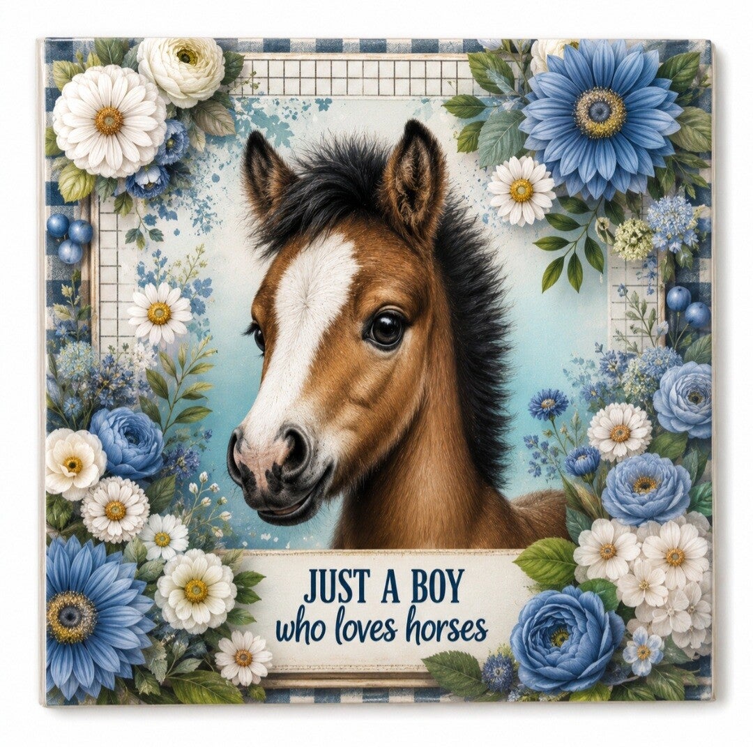 Tegeltje just a boy live horses