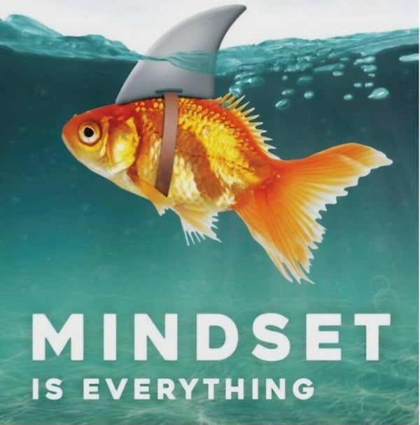 Tegeltje mindset