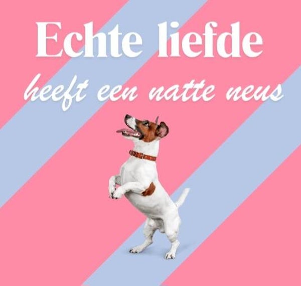Tegeltje jack Russel liefde