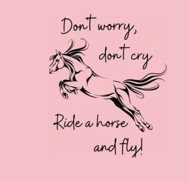 Tegeltje dont cry just fly paard