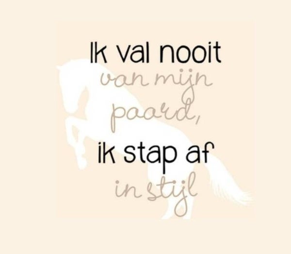 Tegeltje paard ik val niet