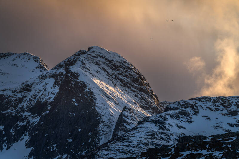 fuglene-over-fjellet-i-fredvang-standard.jpg