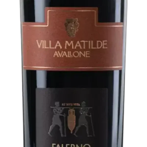 Vino rosso Falerno del Massico