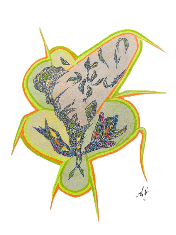 La plante sèche