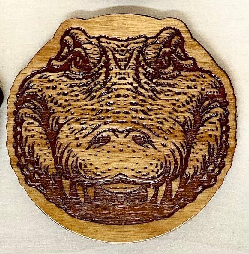 Alligator