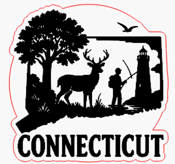 Connecticut #1