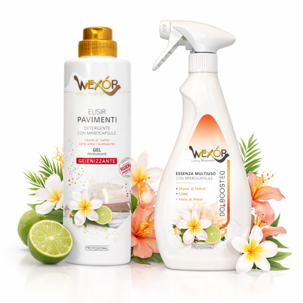 Combi-deal – Allesreiniger Gel + Deo Booster