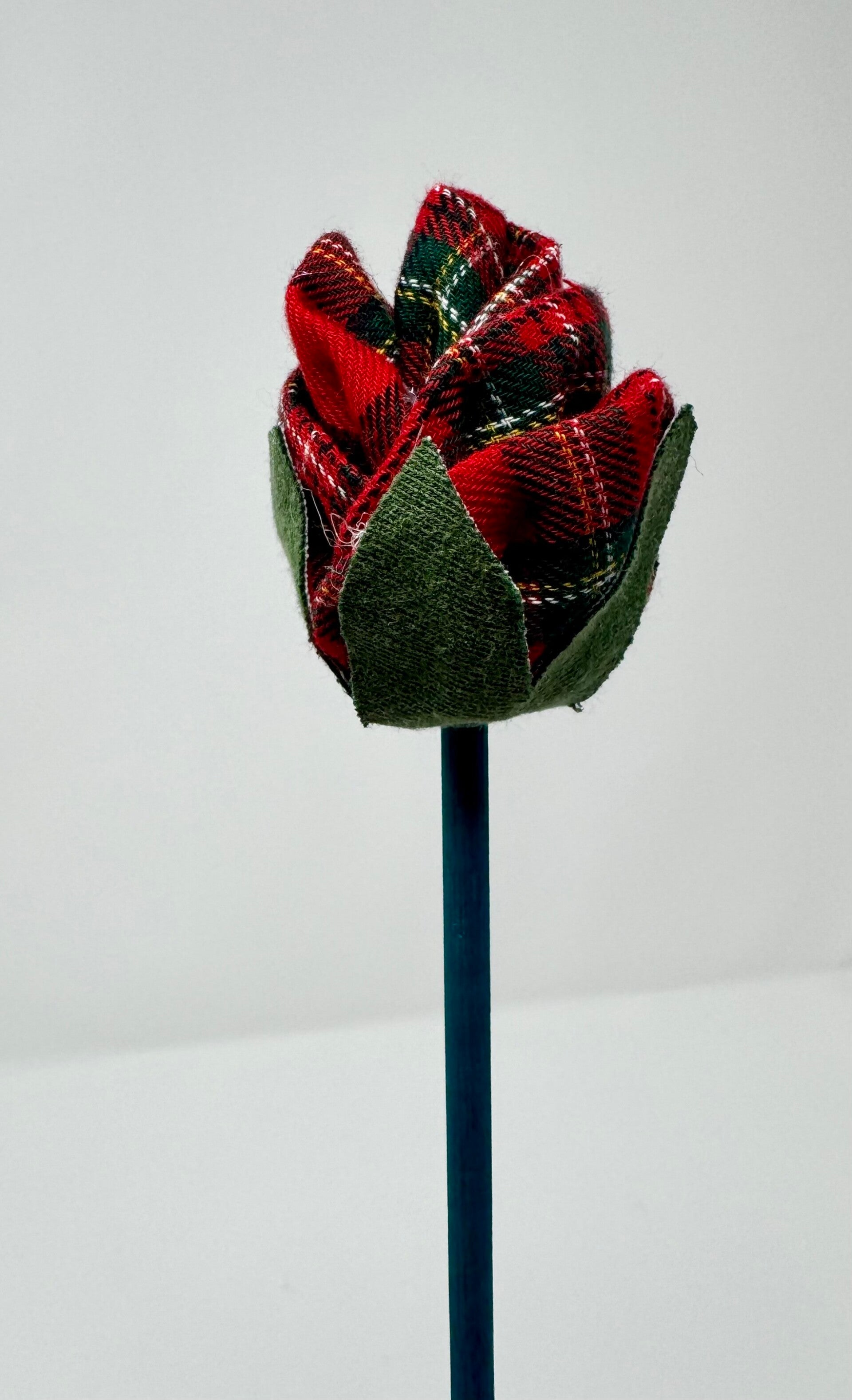 Flowers - a Single Tulip or Single Rose