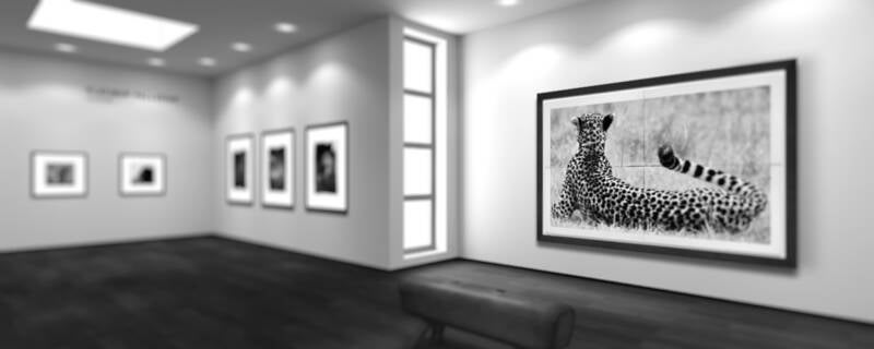 Gisbert Rueffert 3D-Artist virtuelle Galerie immagis