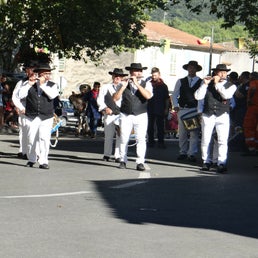 DSC01877JPG.jpg