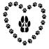 Paws Plus | Dog Walking | Macclesfield