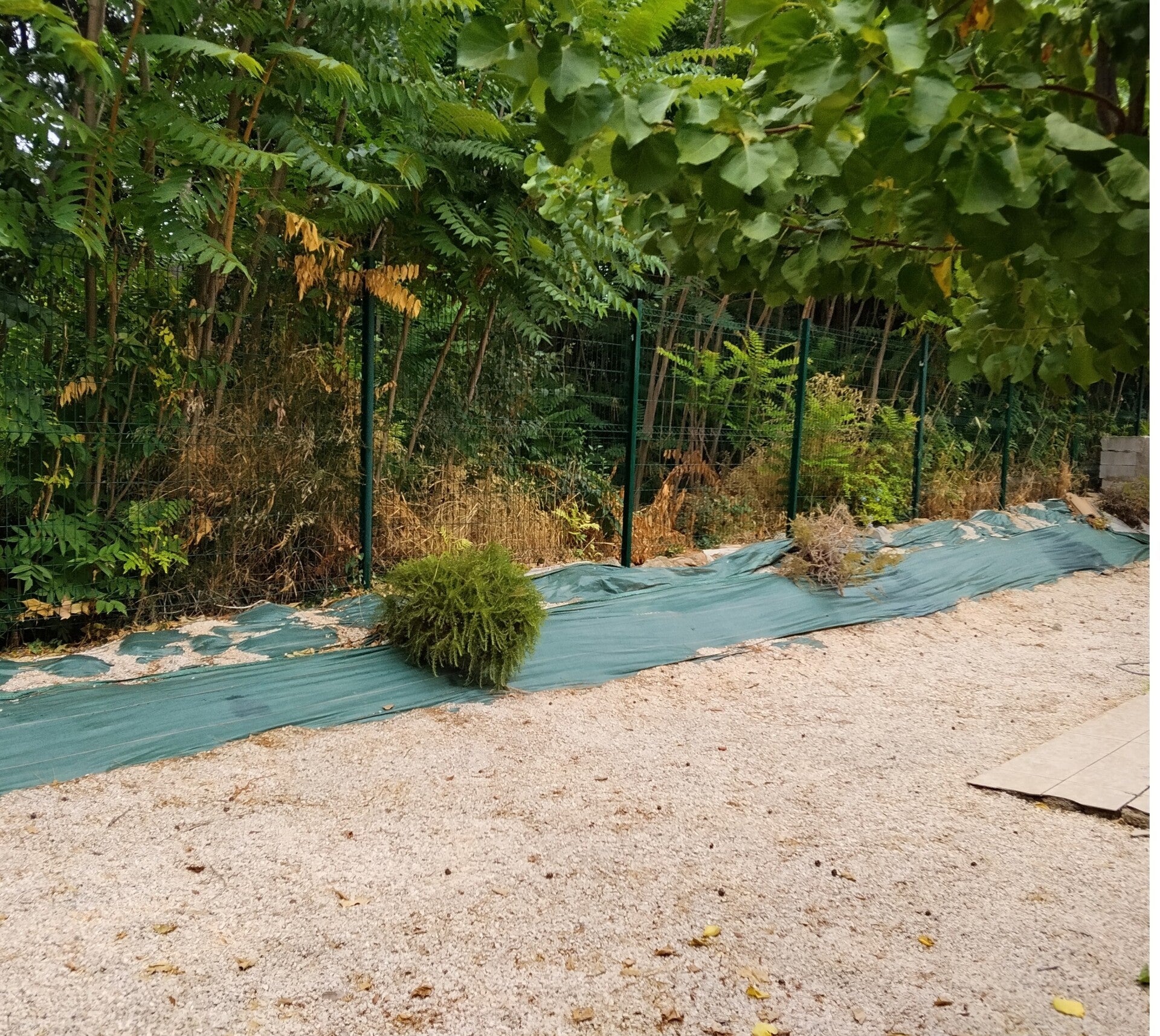 gridart_20260910_150105730-standard-n9mtbs.jpg
