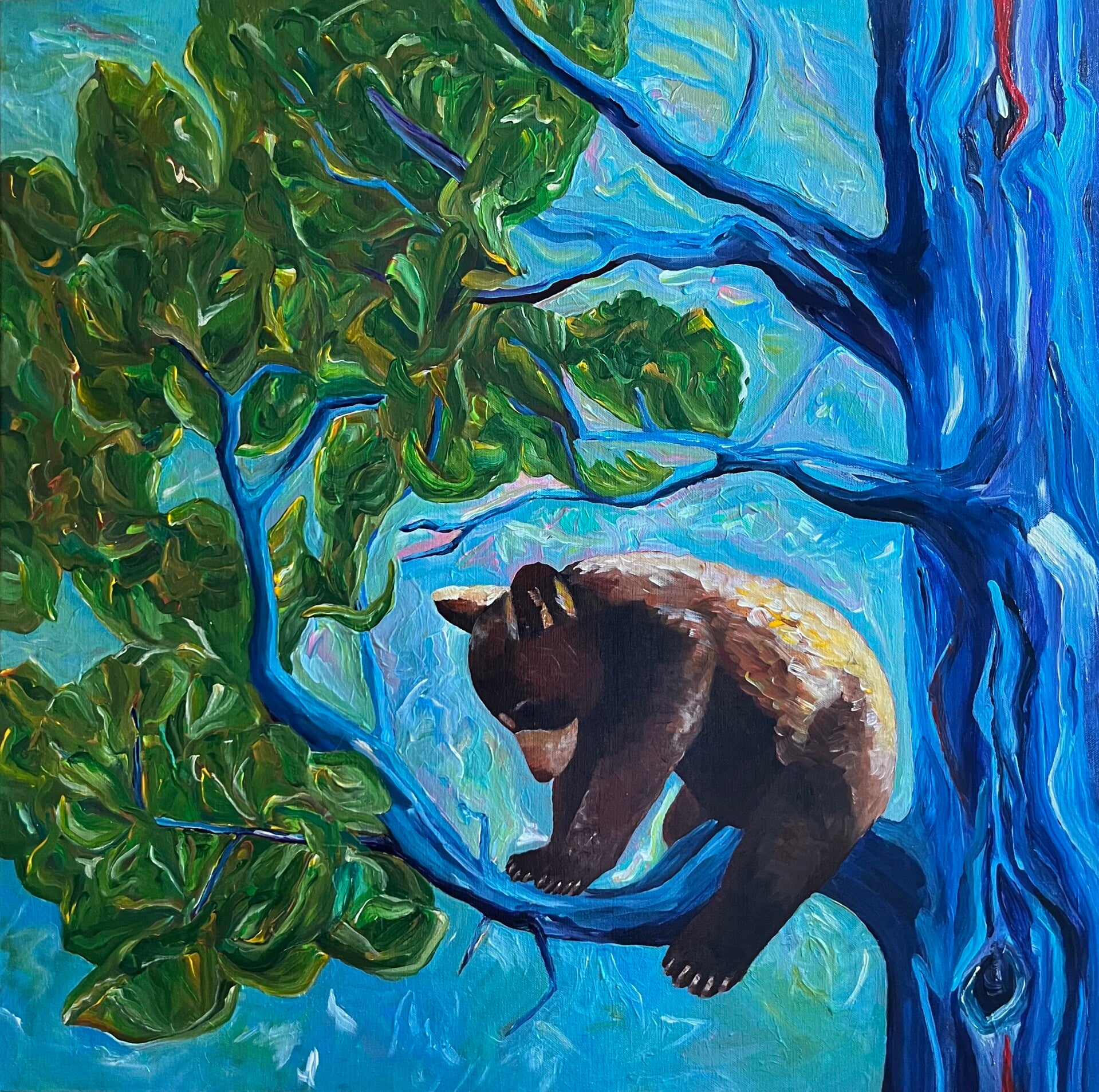 Kanadischer junger Bär im Baum - Canadian Bear Cub - ORIGINAL🔴