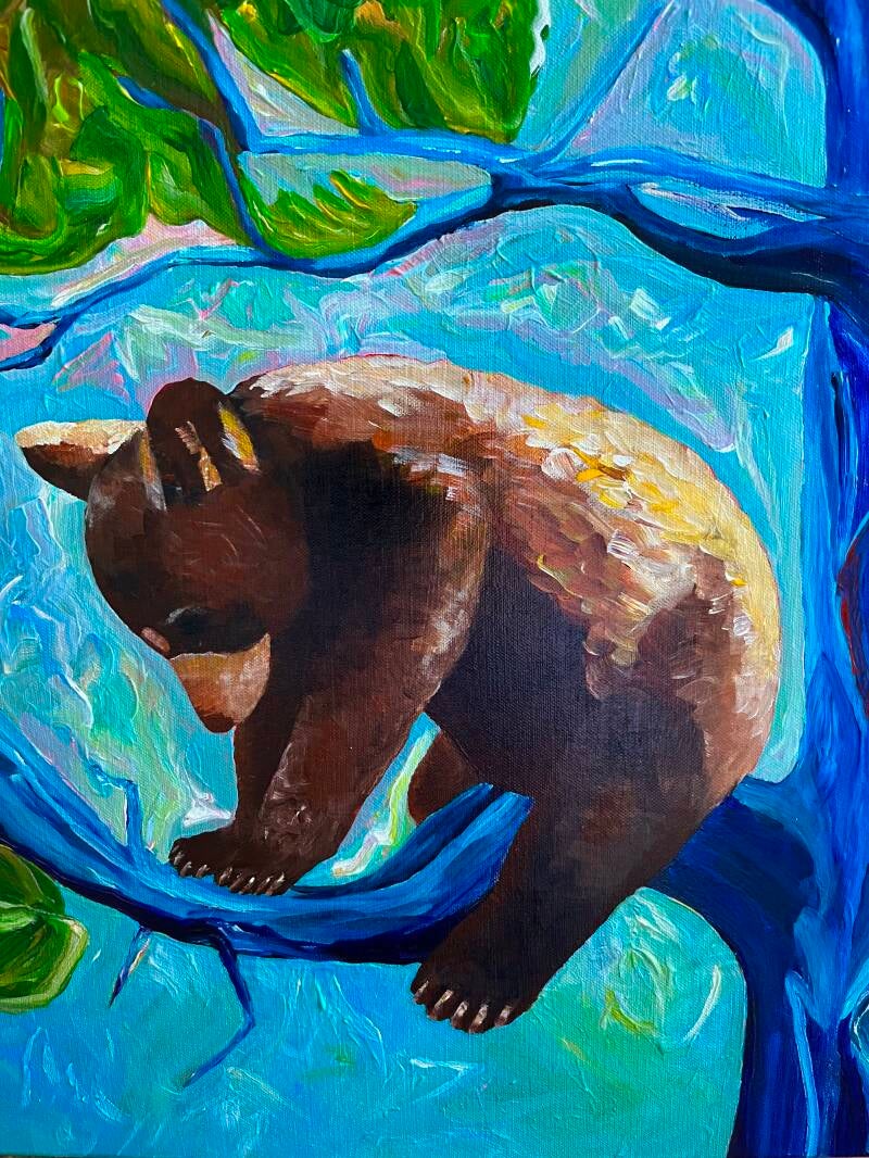 Detail Kleiner Bär sitzt auf einem Ast mit blauem Hintergrund