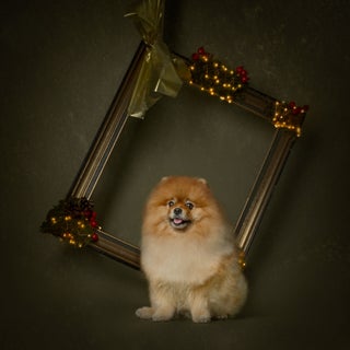web_20231026--yh9_3832-kerstshoot-otto.jpg