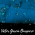barquero