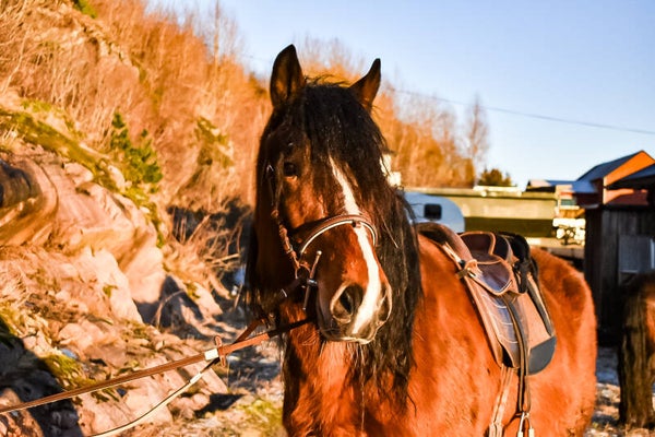 Weekend-kurs 4.-6.April 2025