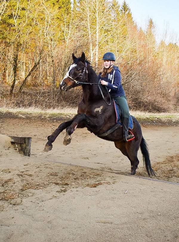 Weekend-kurs 2.-4.Mai 2025