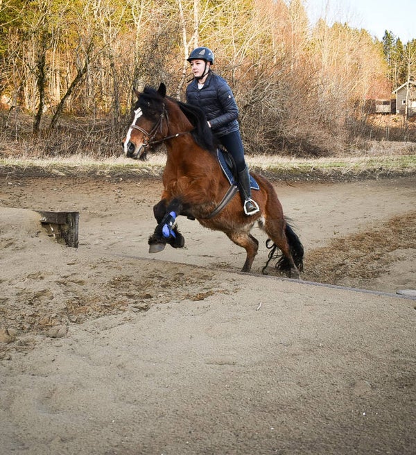 Weekend-kurs 6.-8.Juni 2025