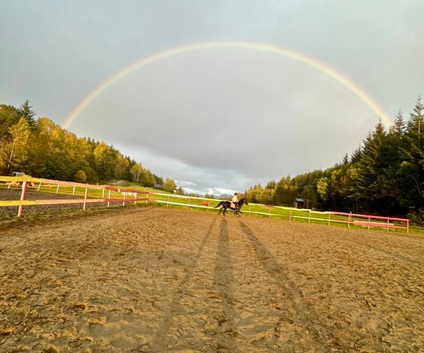 Ridetime Kl 14 Lørdag 29.08