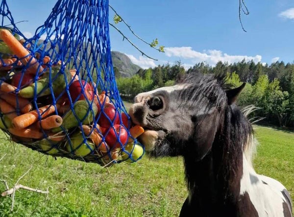 Rideleir uke 30 - Overnatting (Depositum)