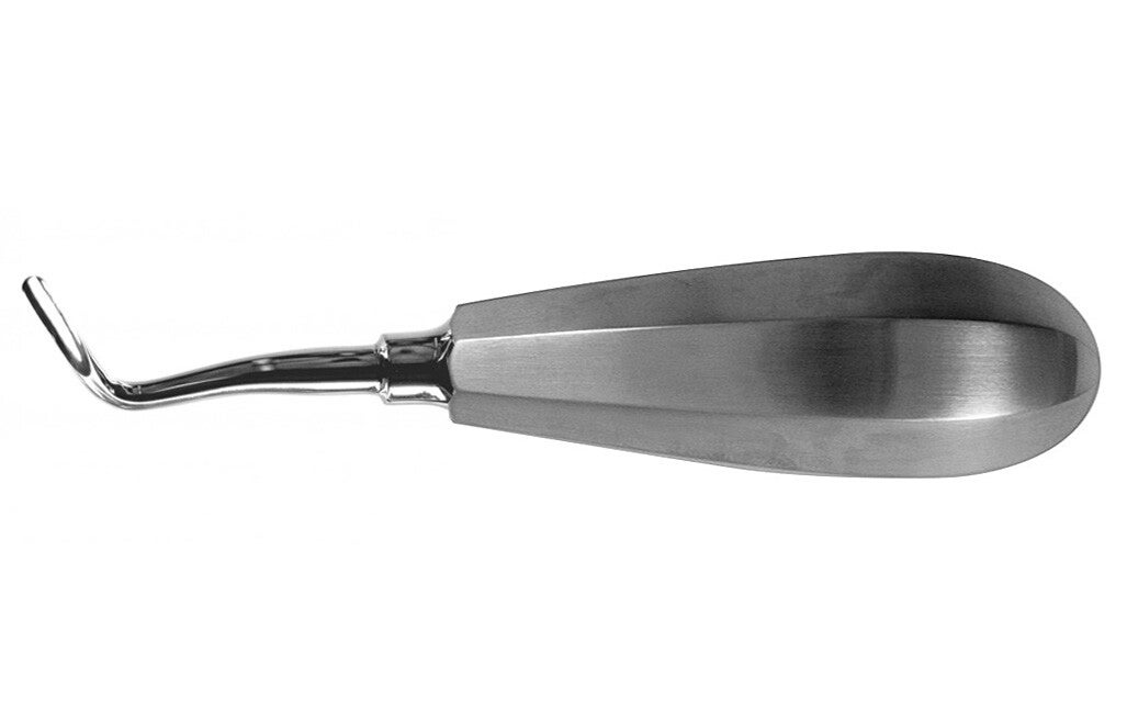 Wurzelber Apical Flohr