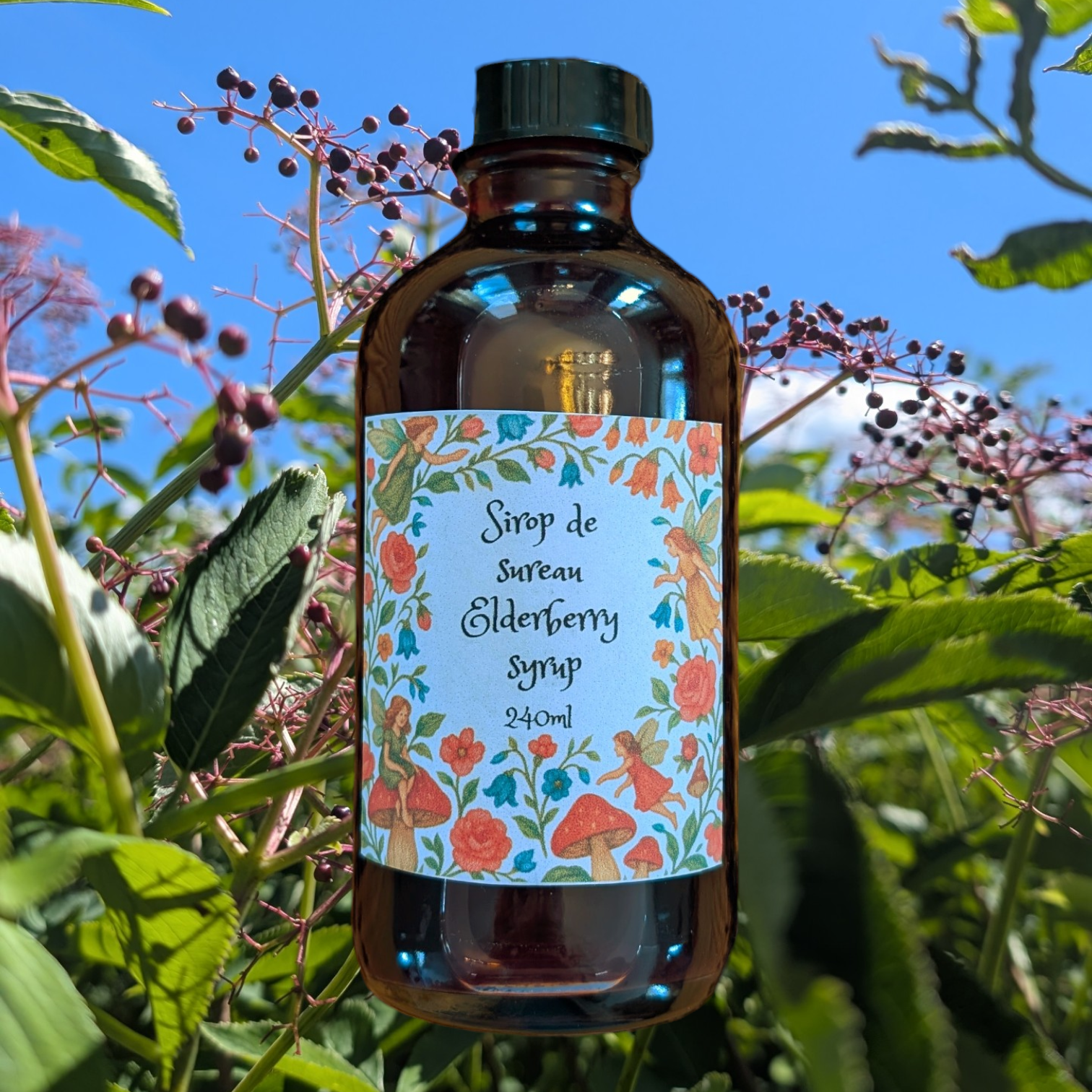 Sirops forestiers, gelées et confitures