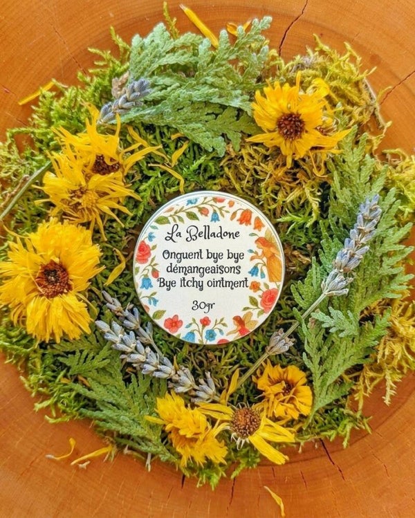 Onguent bye bye démangeaisons