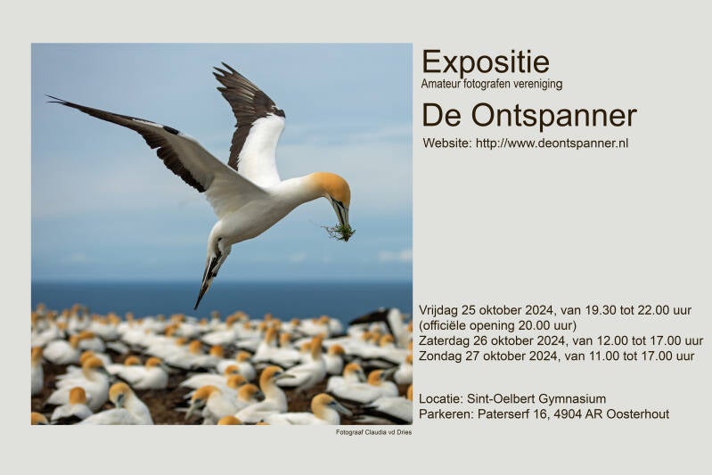 flyer-expo-2024-standard.jpg