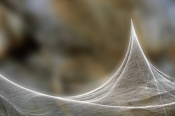 Spinrag