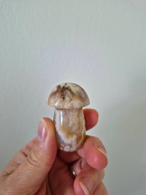 Agate fleur champignon