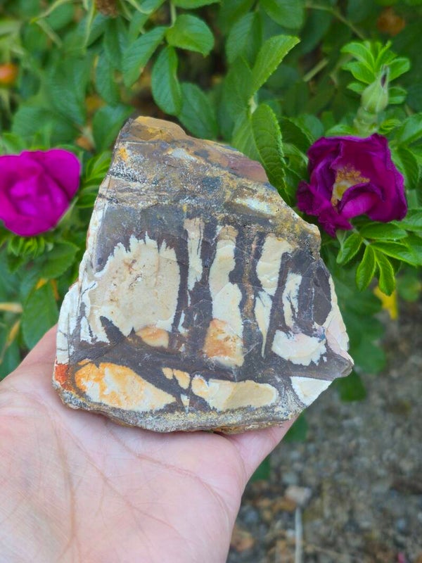 Jaspe polychrome brut