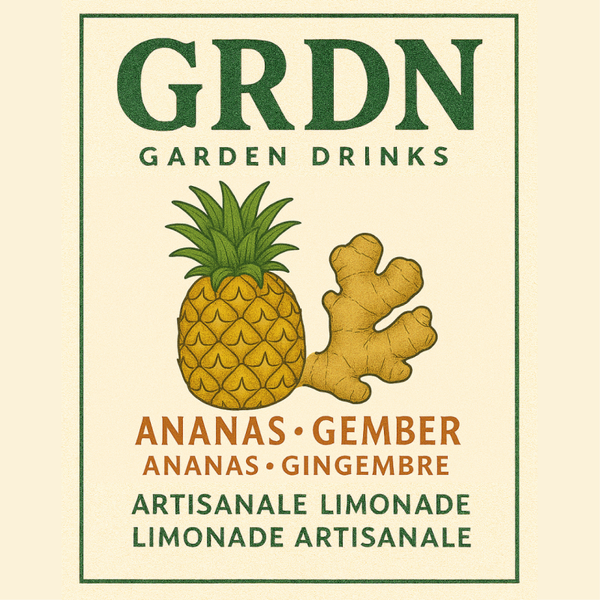 12 x 33 cl ananas gember