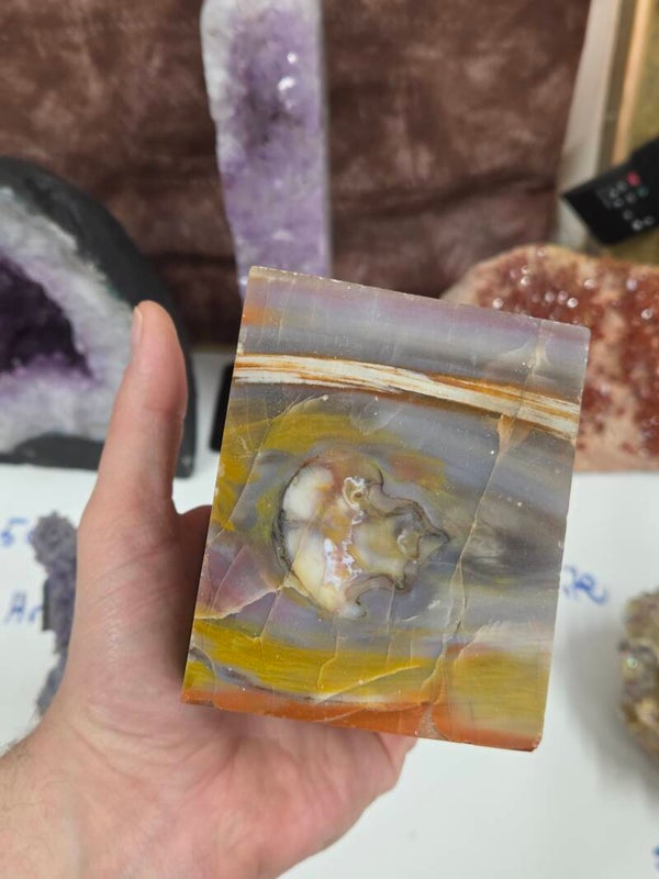 Arizona Petrified Wood