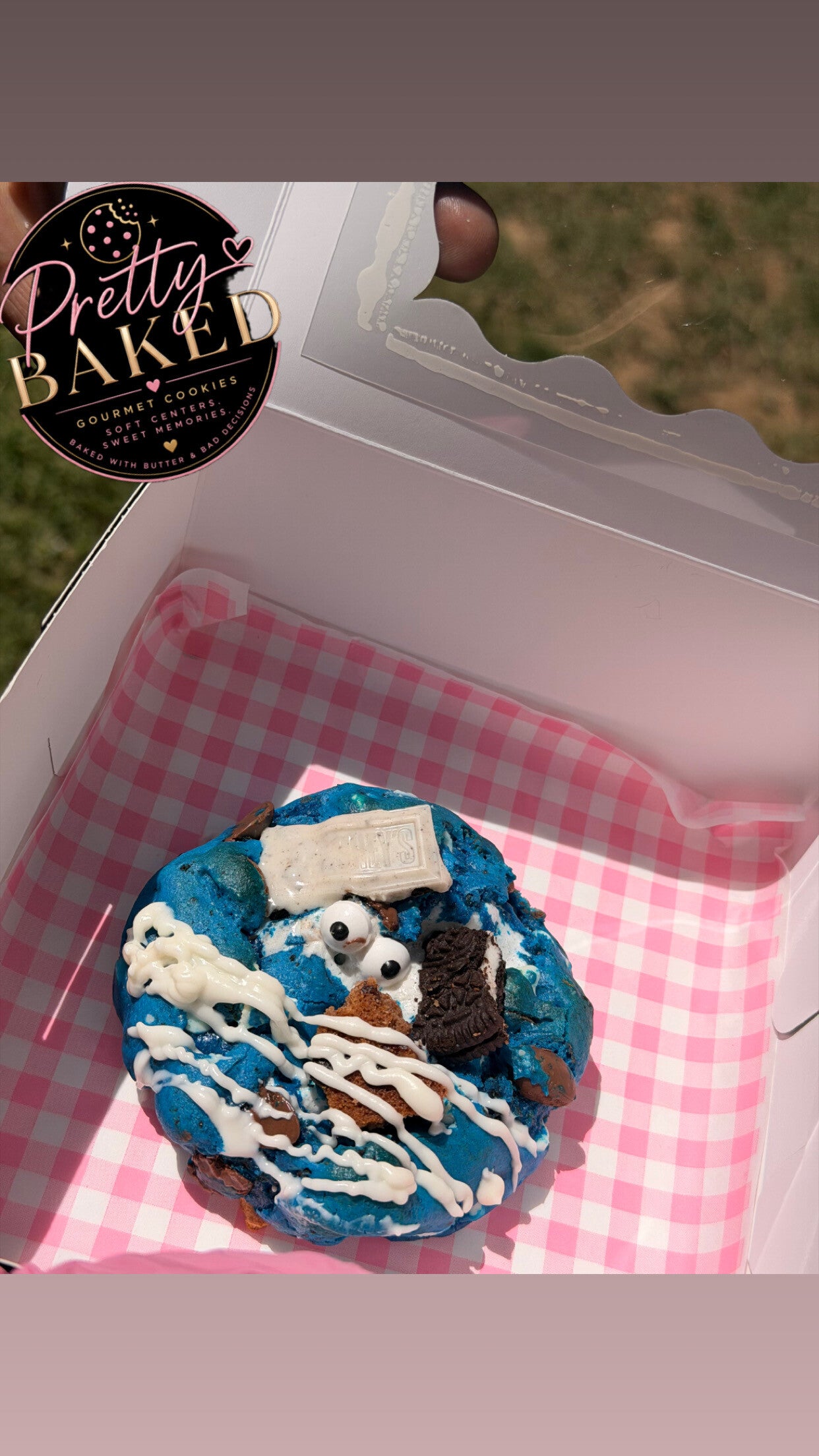 Cookie Monster S’mores