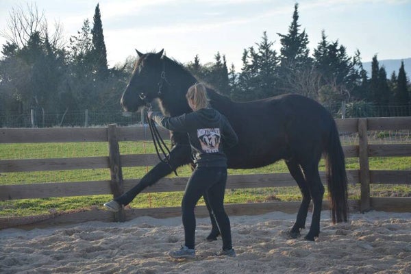 Accompagnement cheval-humain personnalisée