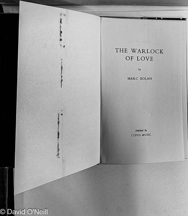 marc-bolan-the-warlock-of-love-first-edition-in-dust-cover-2-standard.jpg