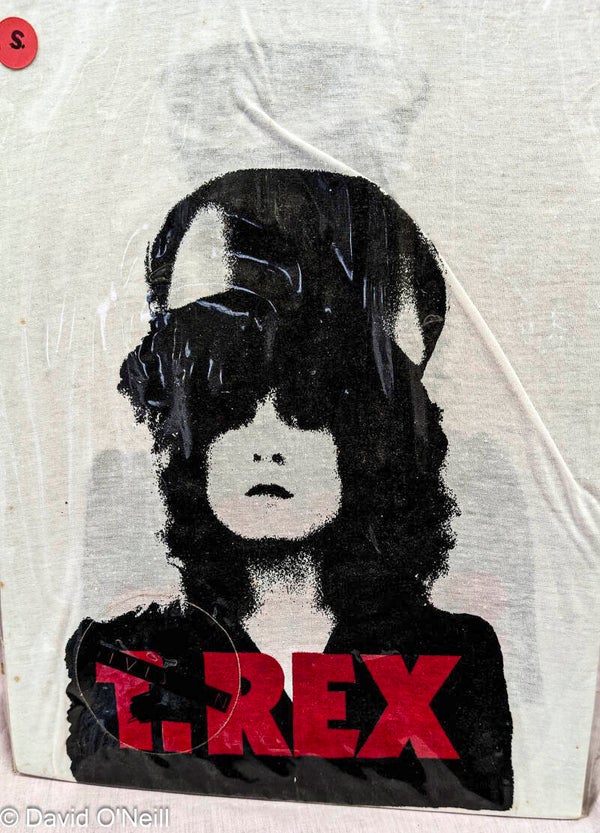 T Rex T shirt  (Unopened)