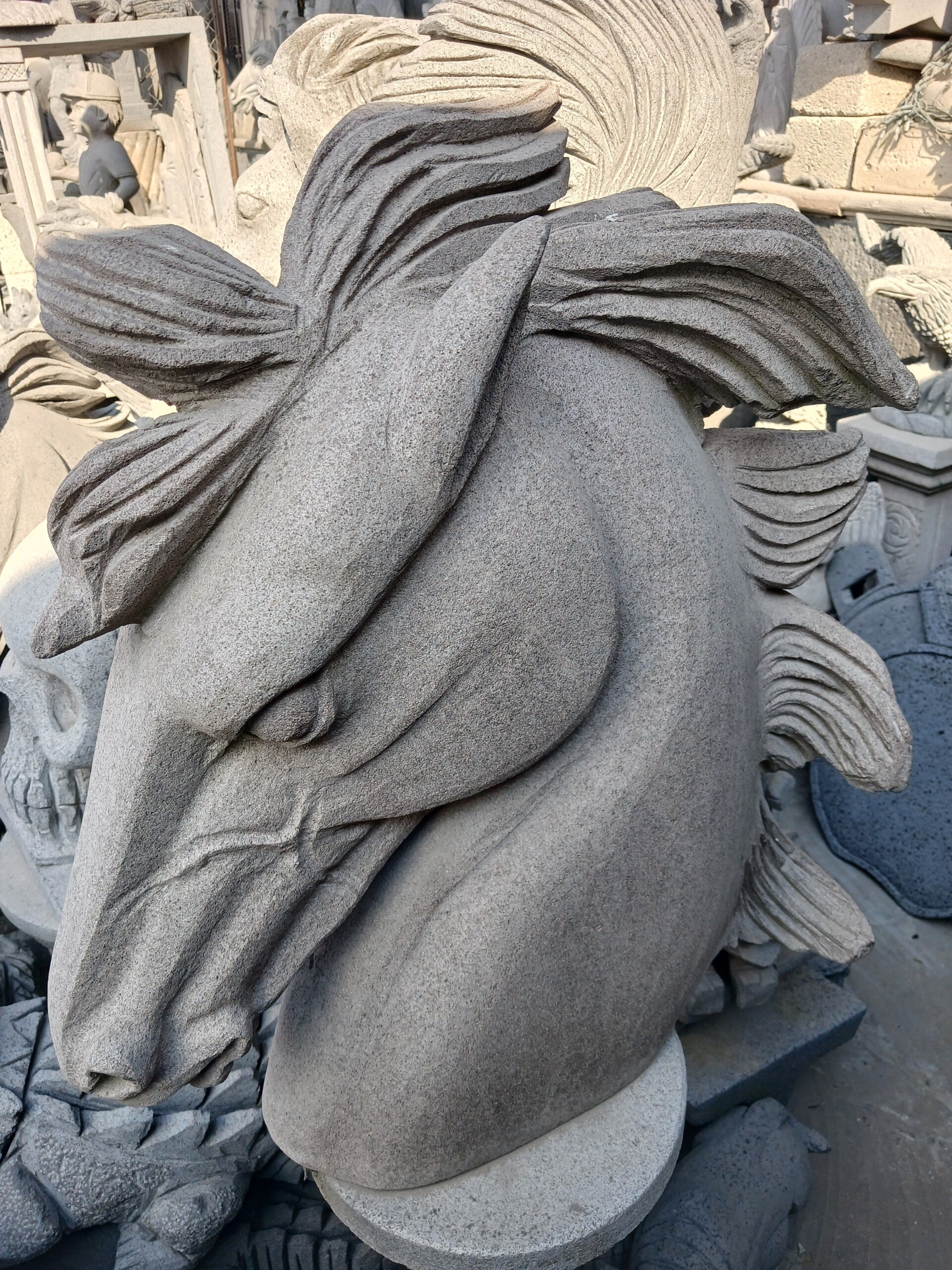 cabeza de caballo