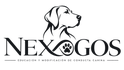 nexogos.com