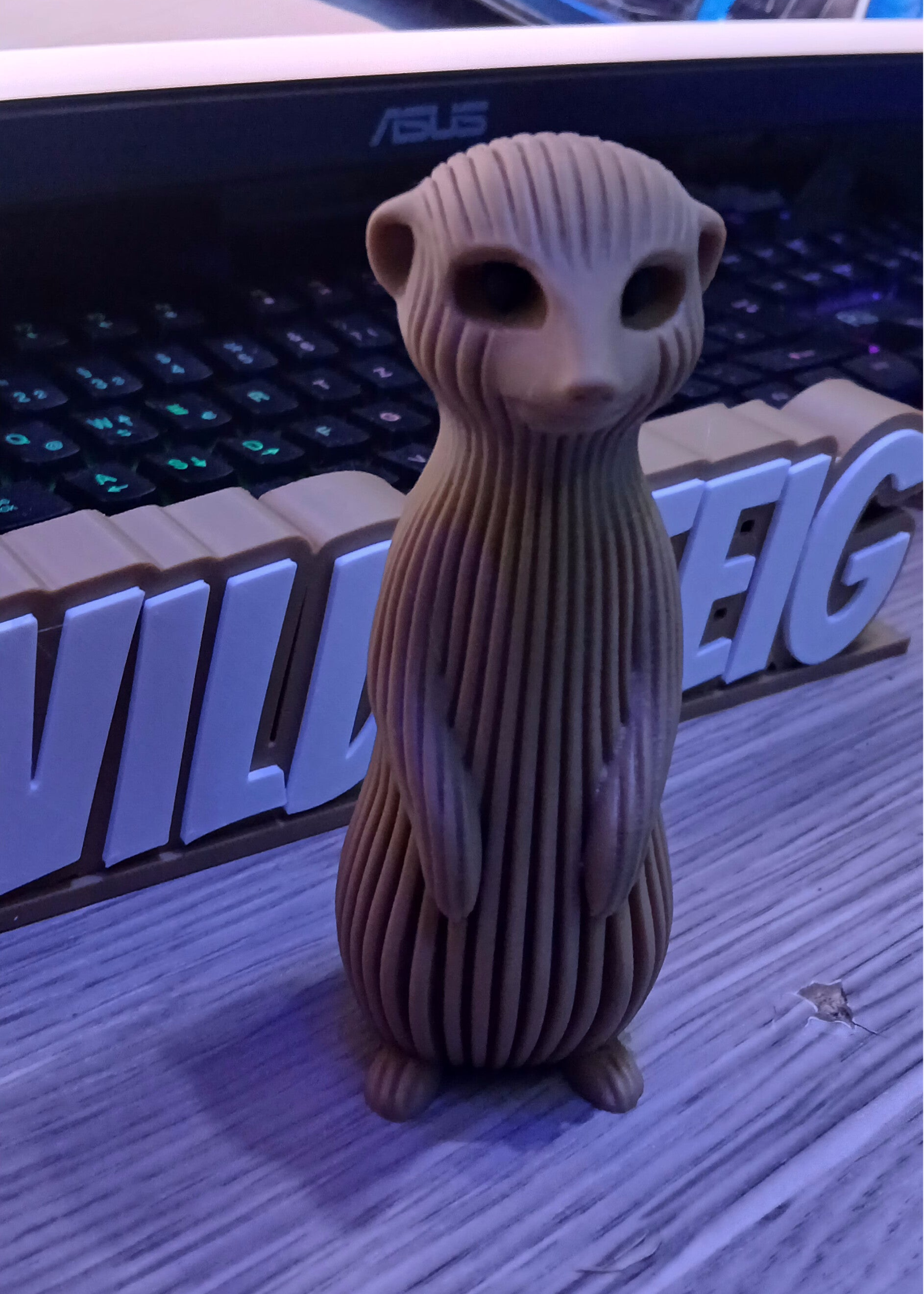 Pflanzen