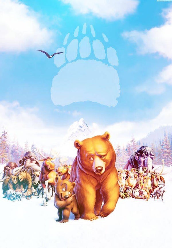 DP Frère des ours 12
