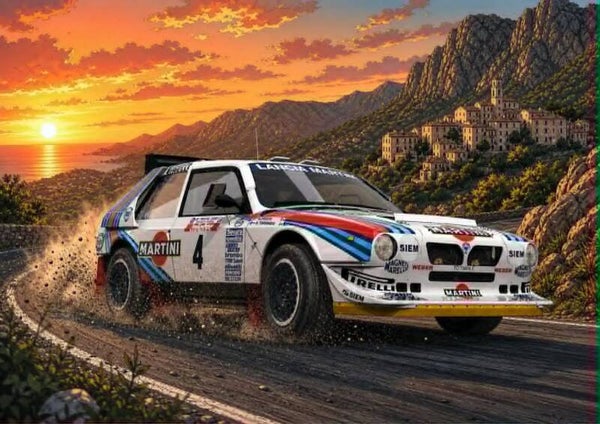 DP rallye 15