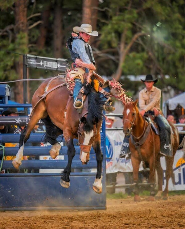 DP Rodeo 10