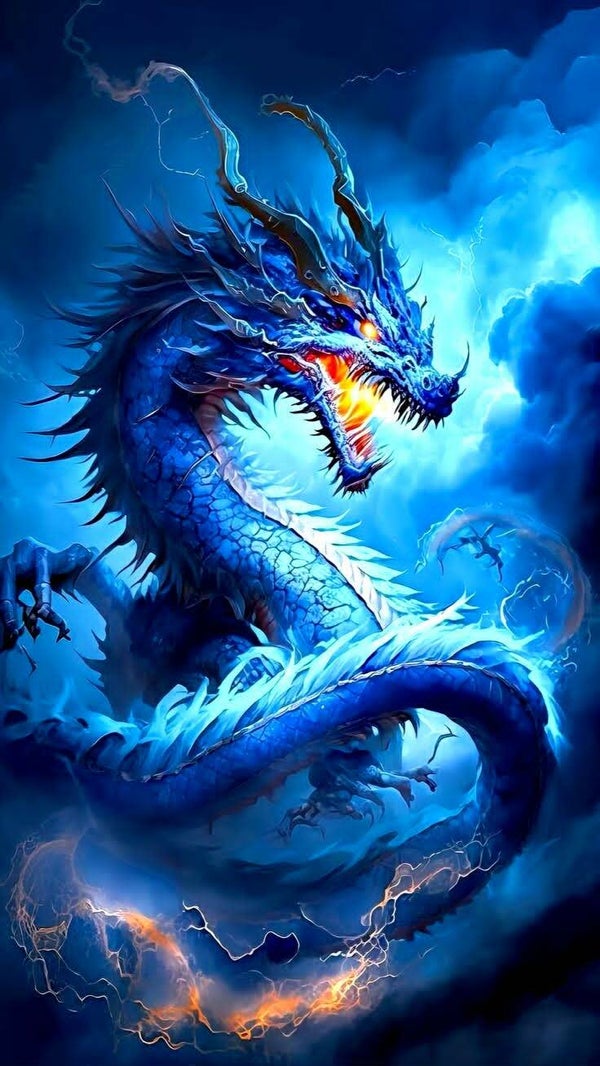 DP Dragon 13