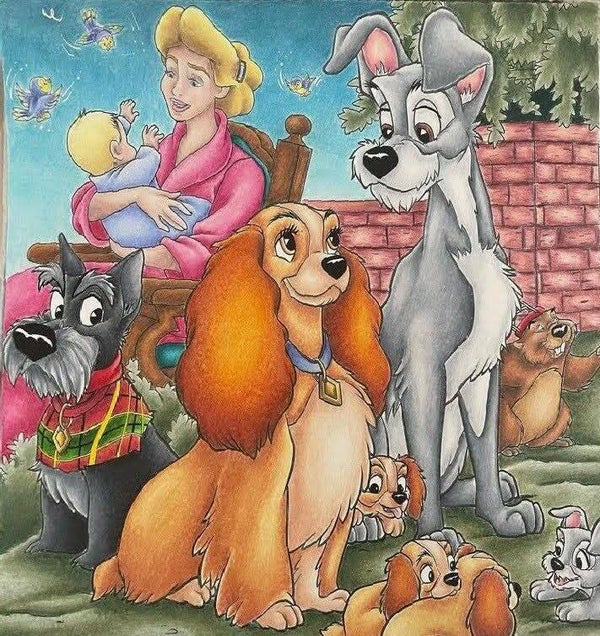 DP La belle et le clochard 12