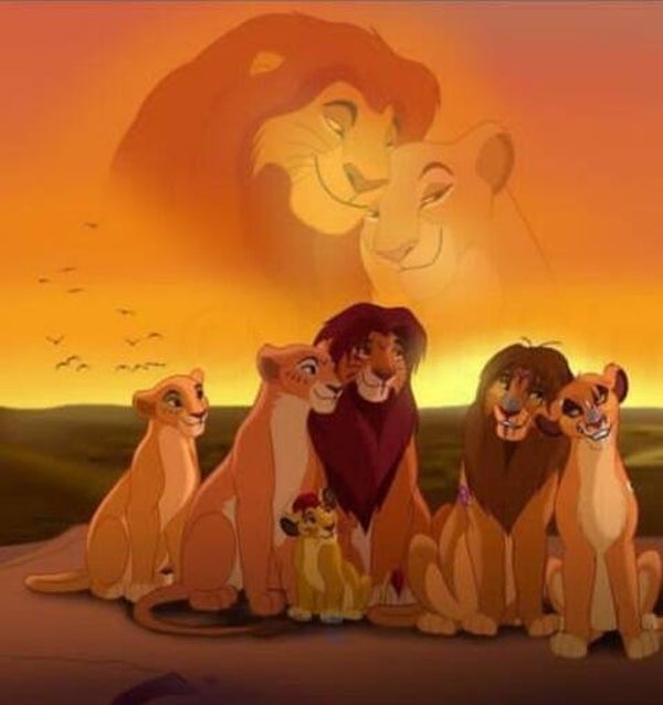 DP Roi Lion 15