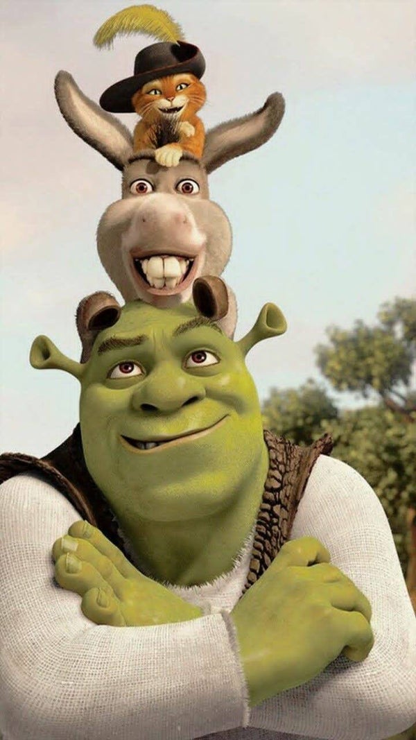 DP Sherk 07